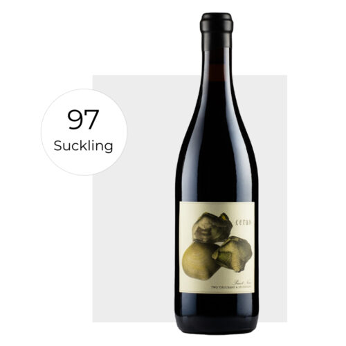 antica terra ceras 2017