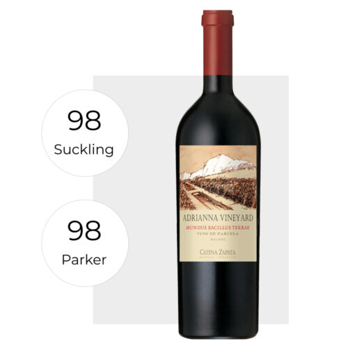 catena zapata adrianna vineyard mundus bacillus terrae malbec 2018
