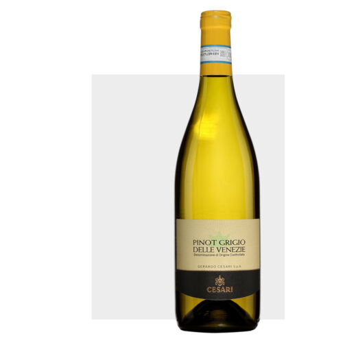 cesari pinot grigio