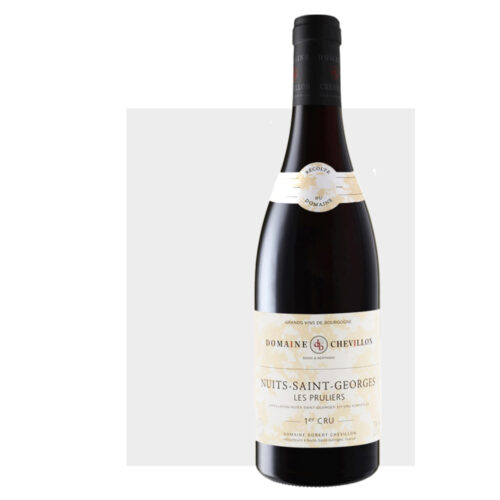 domaine robert chevillon nuits saint georges 1er cru les pruliers 2010