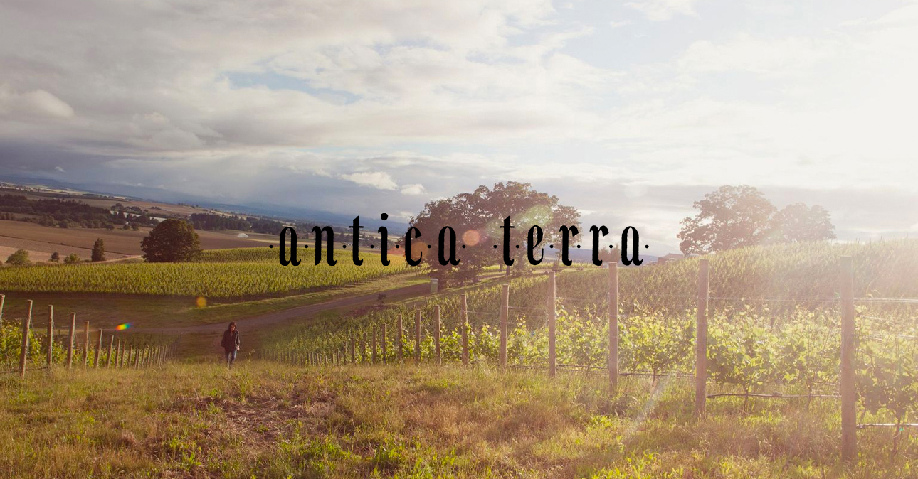 winery antica terra 1290x674