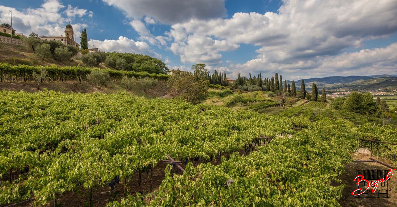 winery begali 1290x674