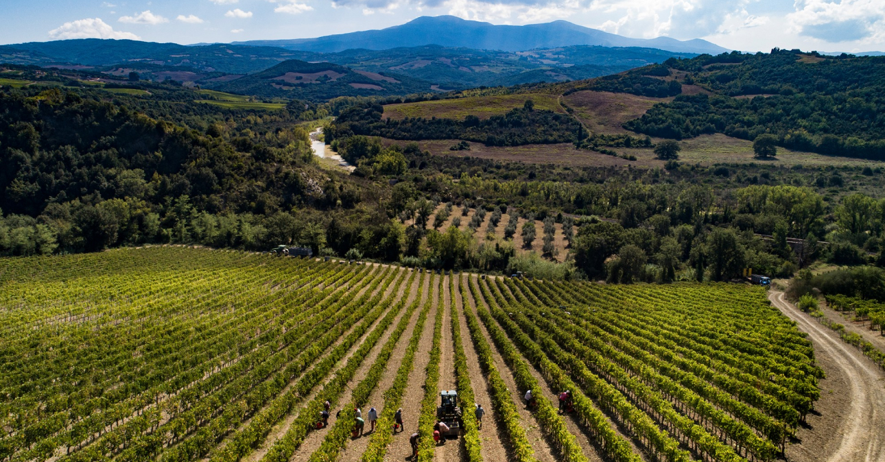 winery casanova di neri 1290x674