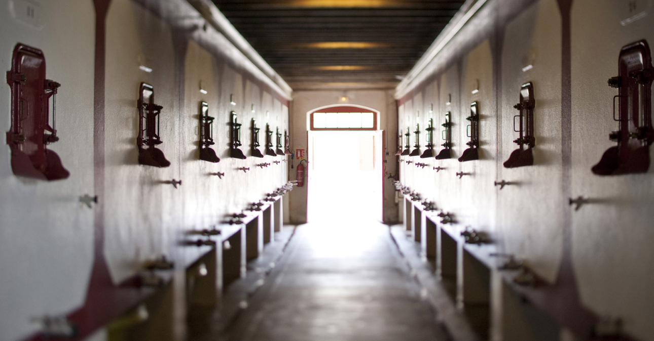 winery chateau lanessan 1290x674