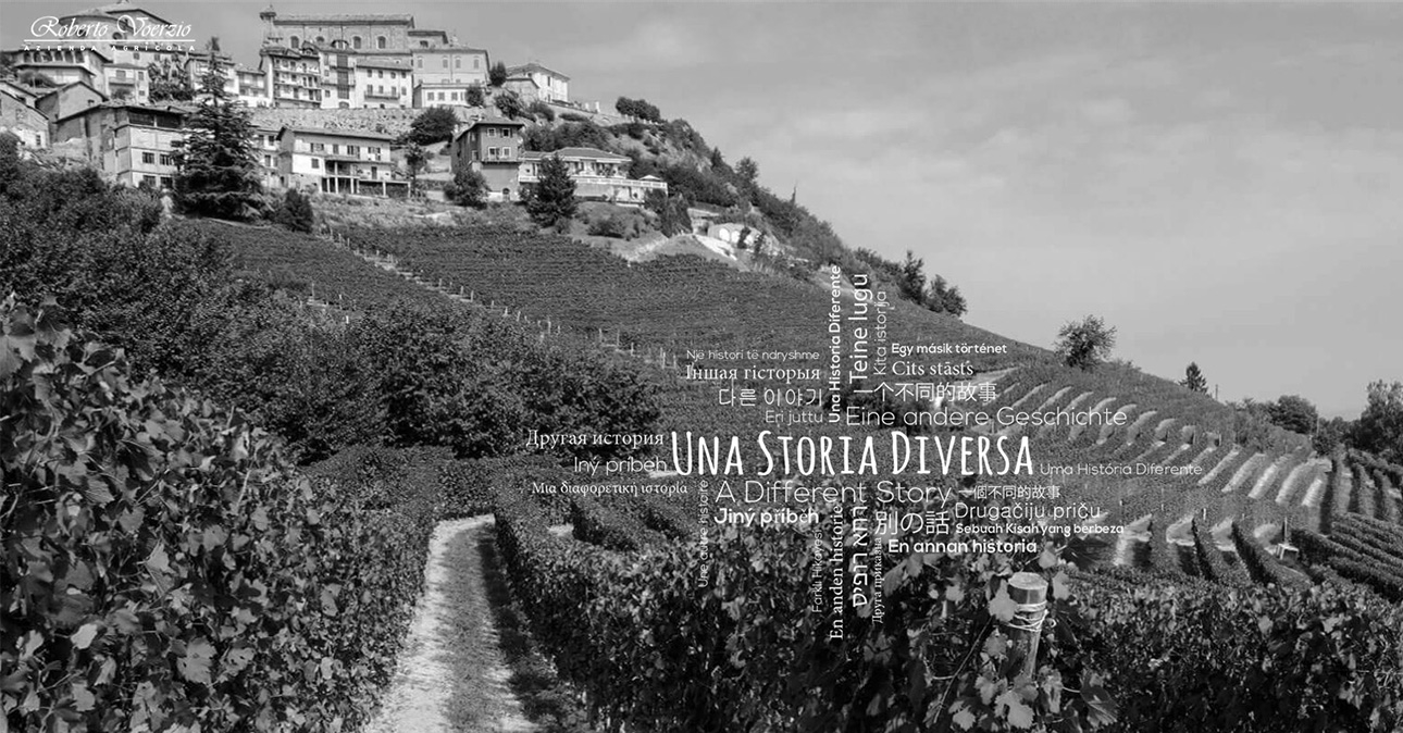 winery robert voerzio 1290x674