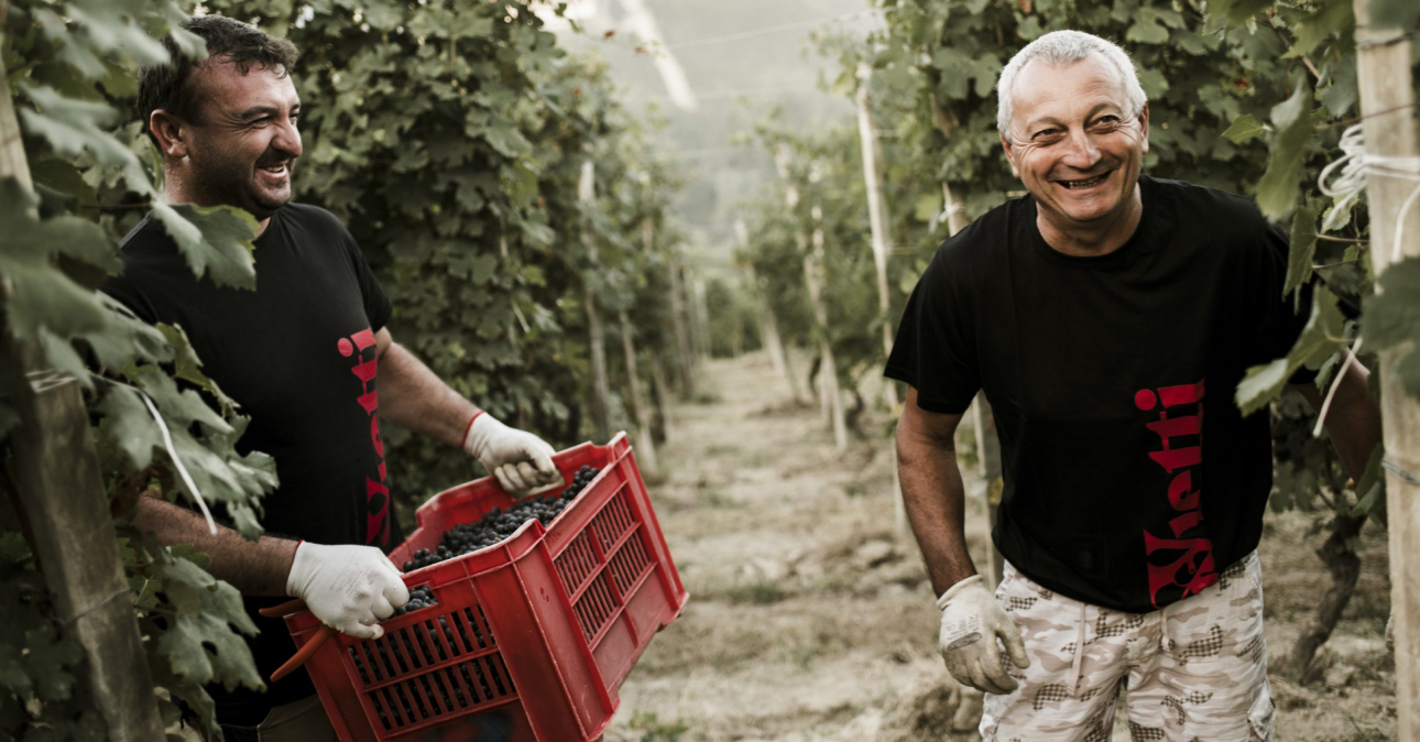 winery vietti 1290x674