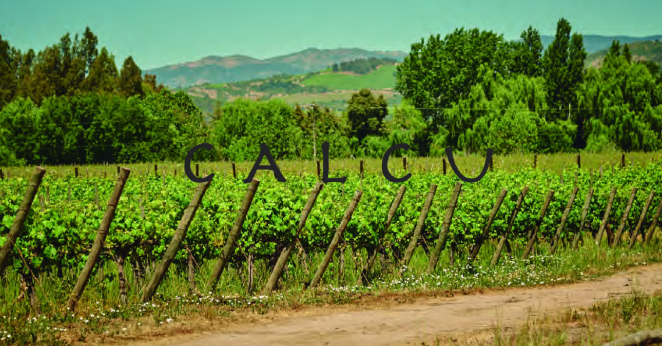 Winery-calcu-1290x674