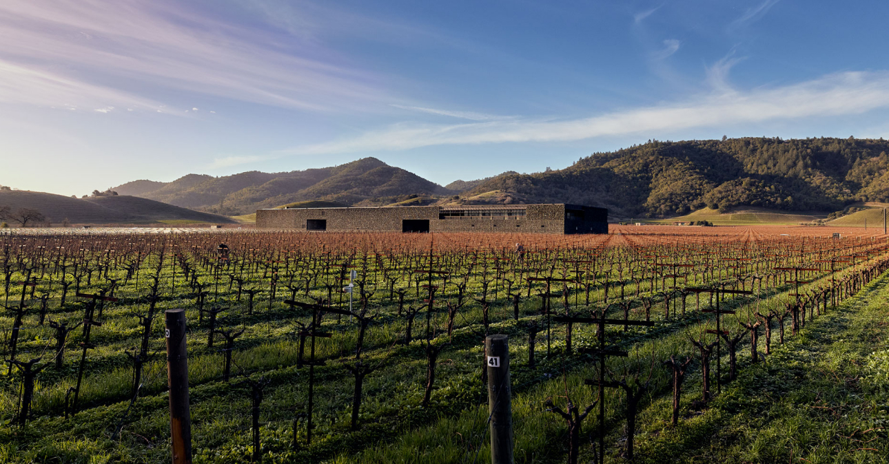 Winery-dominus-1290x674
