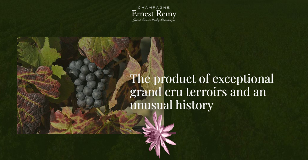 Winery-ernest-1290x674
