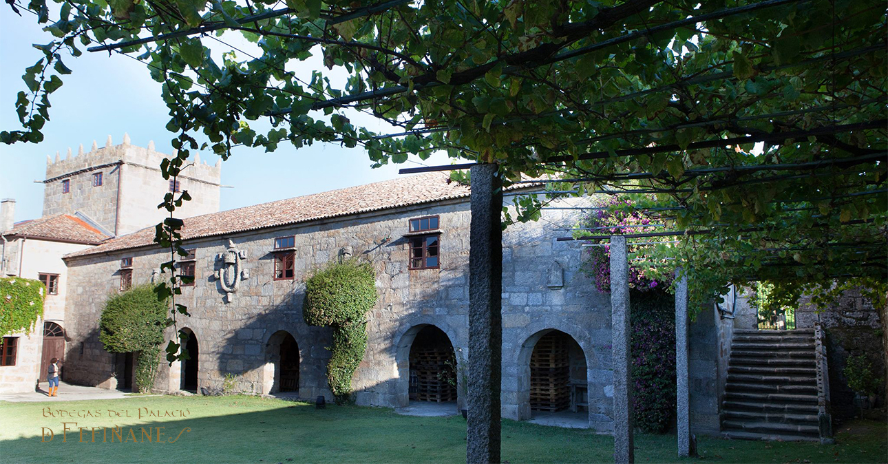 Winery-fefinanes-1290x674