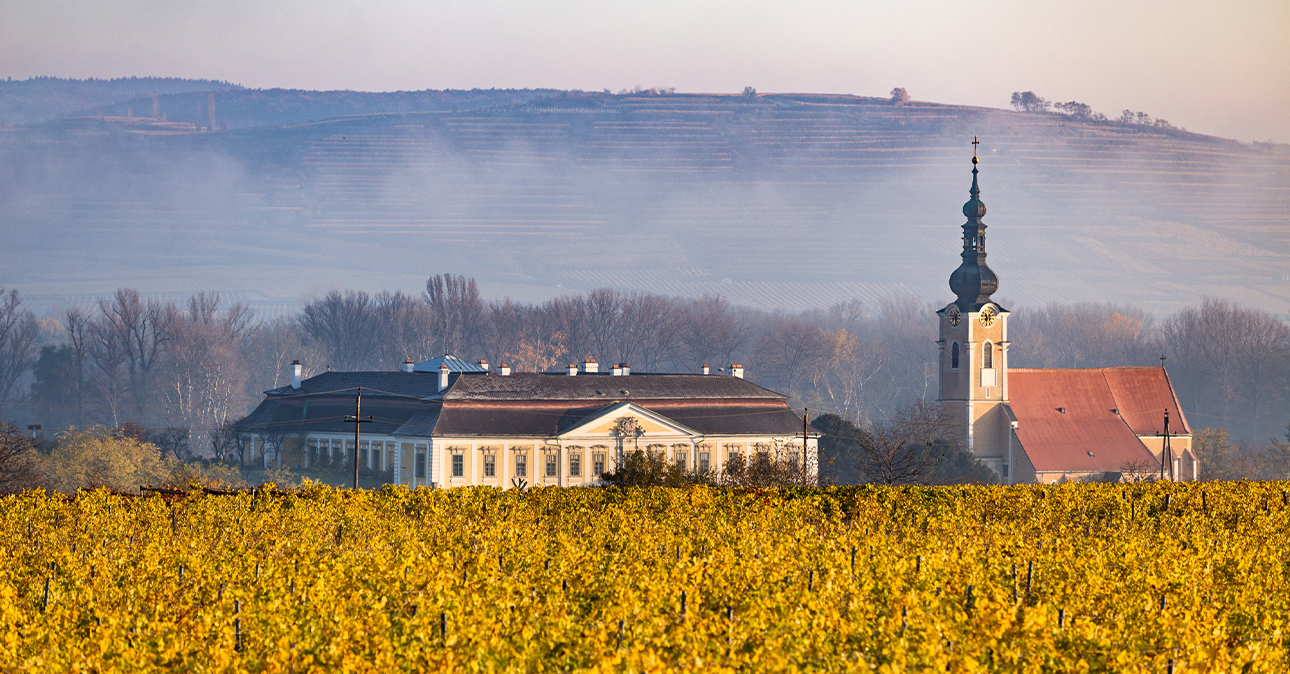 Winery-gobelsburg-1290x674