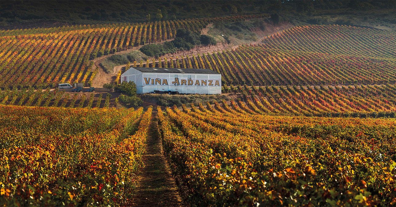 Winery-la-rioja-1290x674