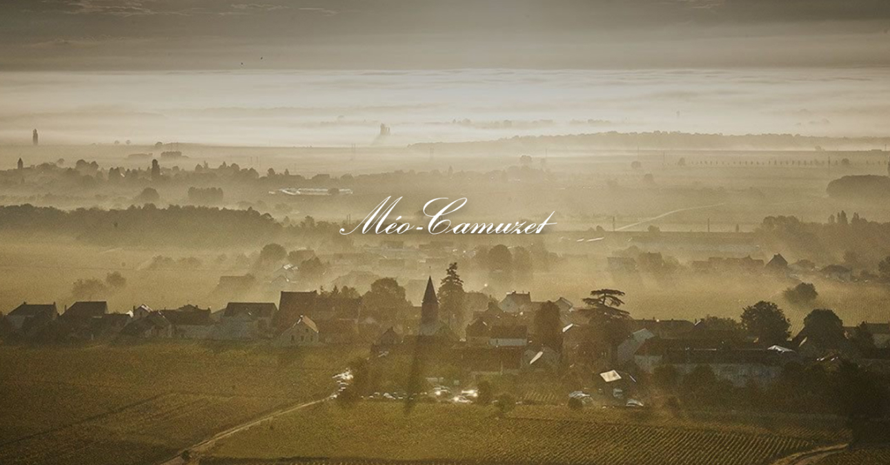 Winery-meo-camuzet-1290x674