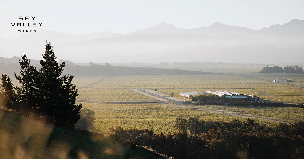 Winery-spy-valley-1290x674