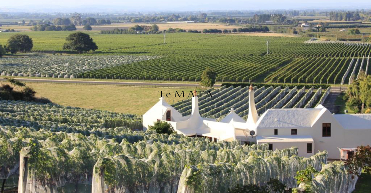 Winery-te-mata-1290x674