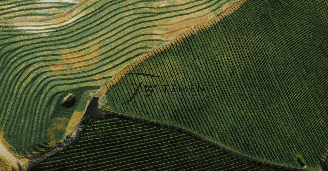 Winery-tement-1290x674