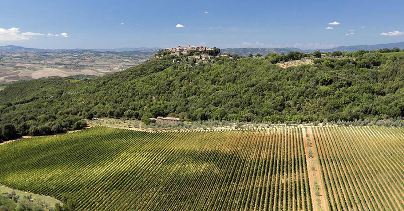 Winery-tenuta-il-poggione-1290x674