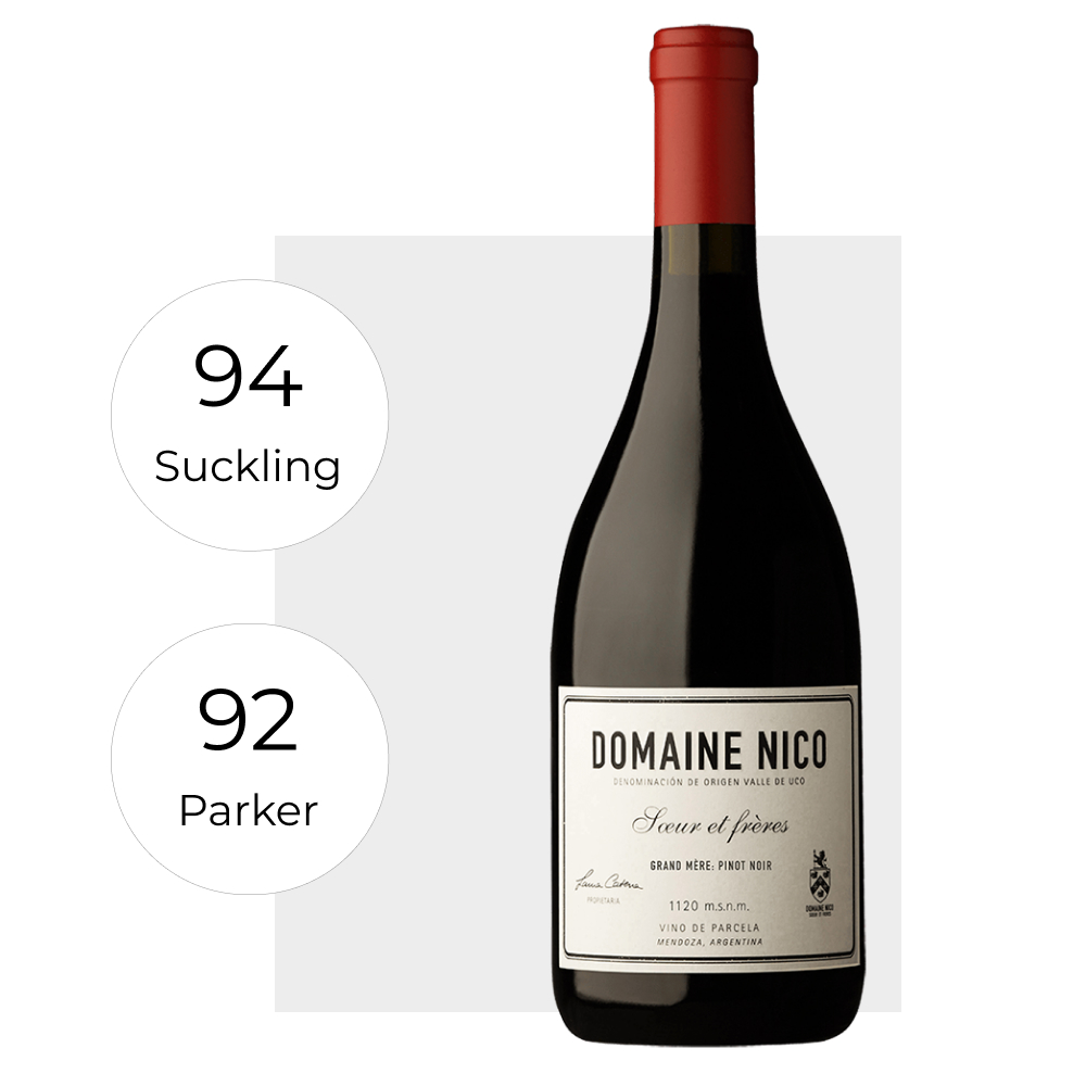 domaine nico grand mére pinot noir 2021