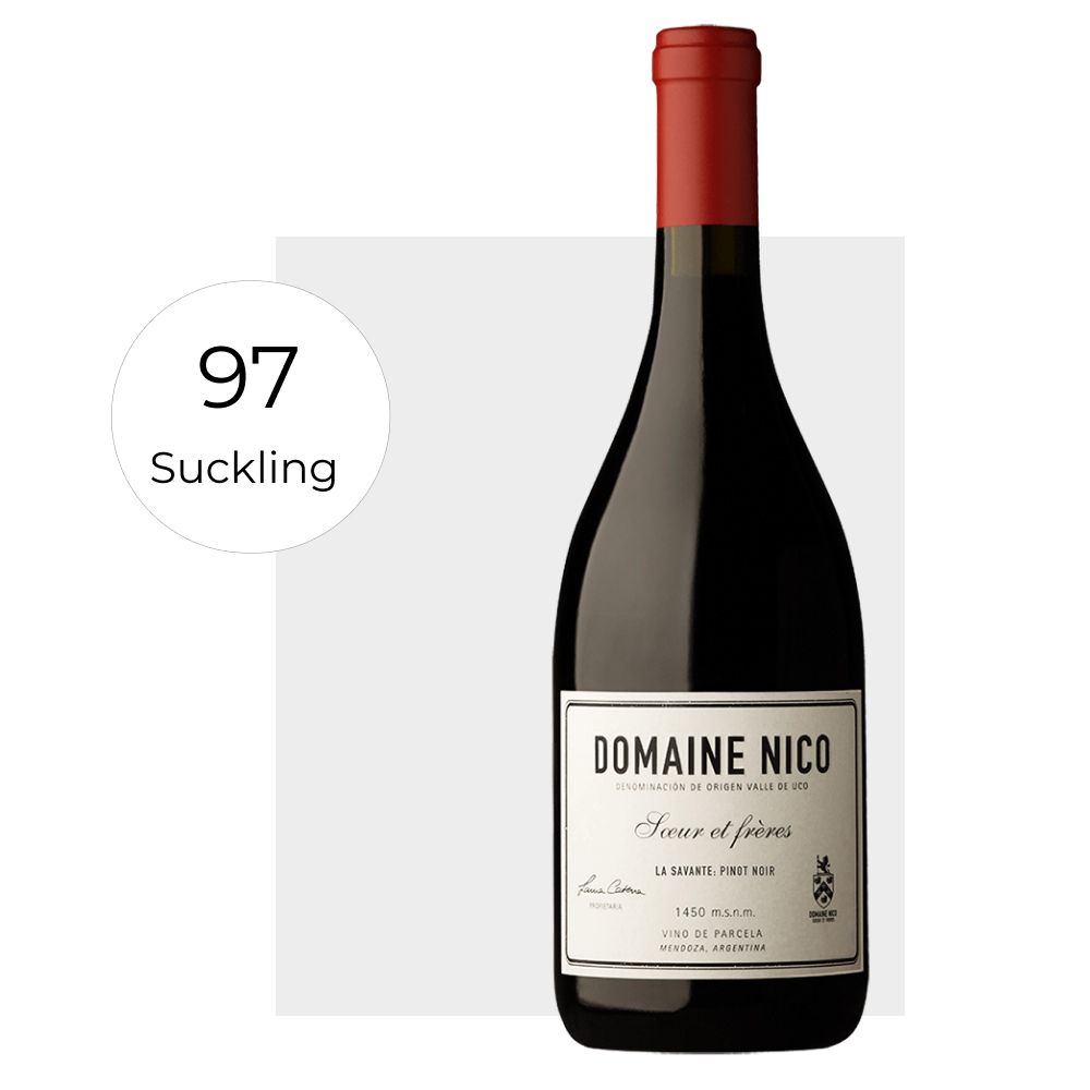 domaine nico grand pére pinot noir 2021