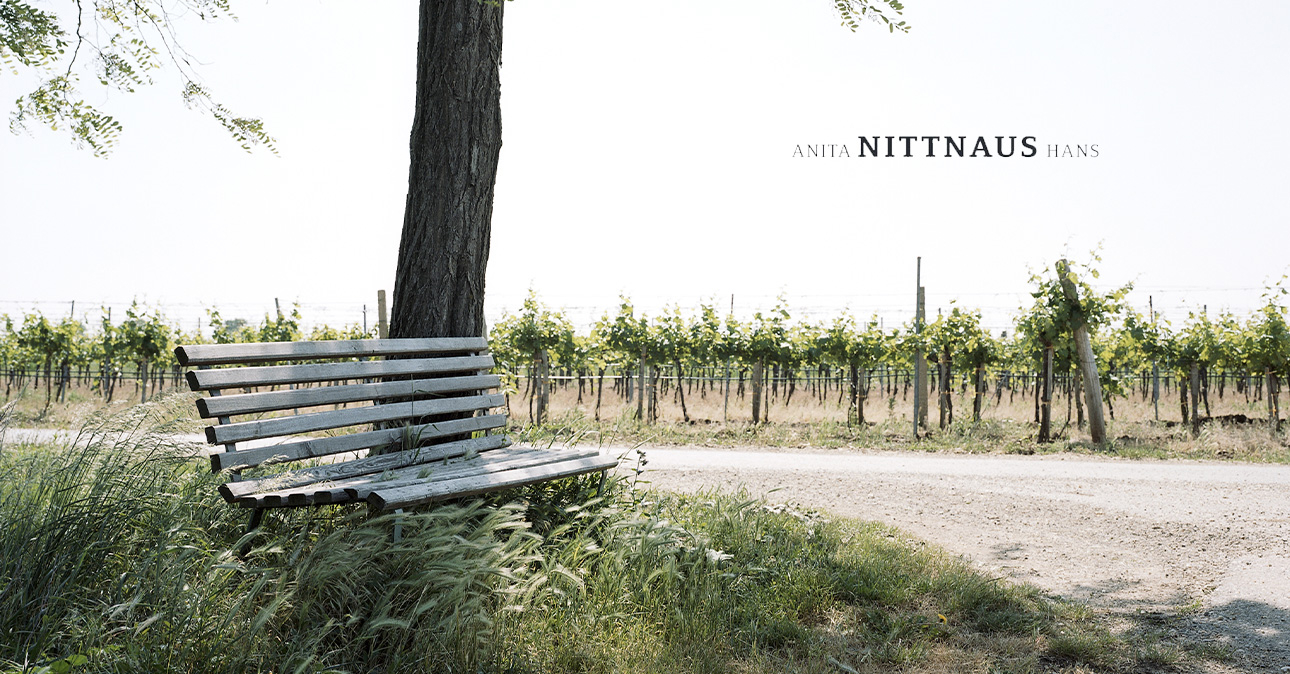 winery nittnaus 1290x674