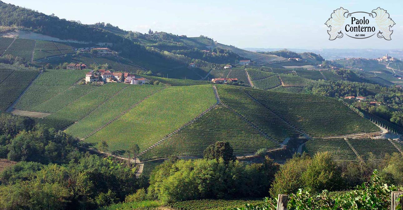 winery paolo conterno 1290x674