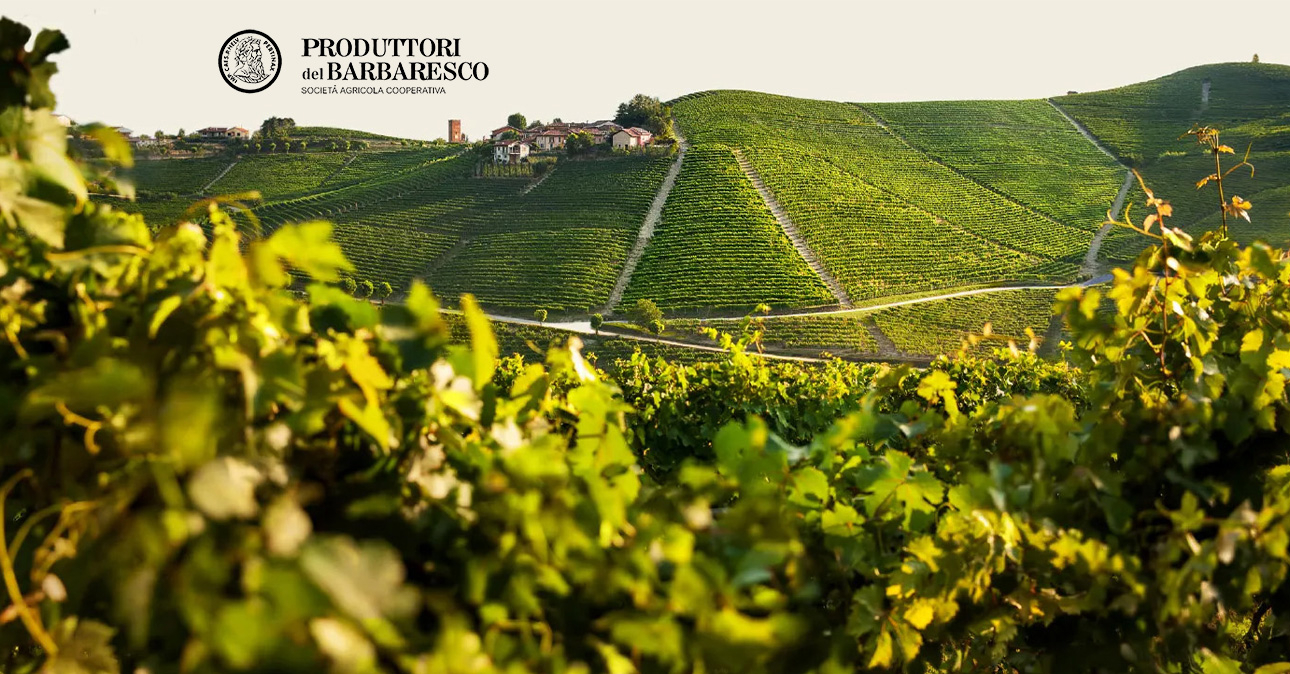 winery produttori del barbaresco 1290x674