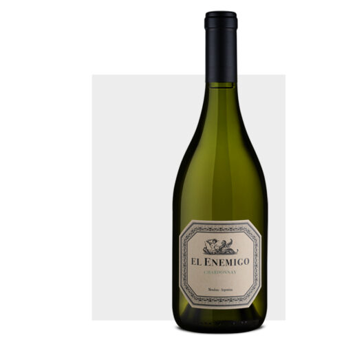 bodegas aleanna gran enemigo gualtallary 2020 (másolat)