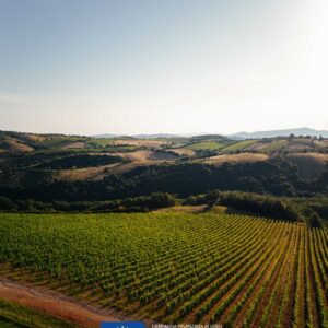 collemassari pic (5)