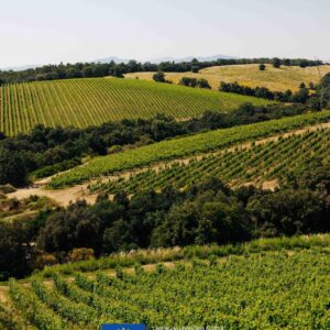 collemassari pic (6)