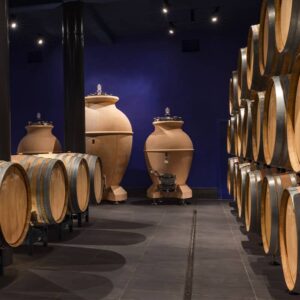 vino giodo toscana cantina a7