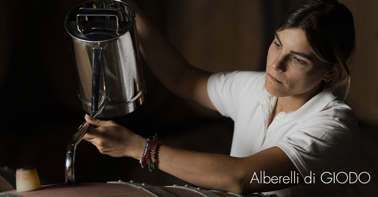 winery alberelli di giodo 1290x674