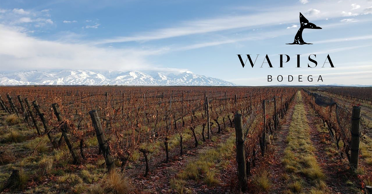 winery wapisa 1290x674