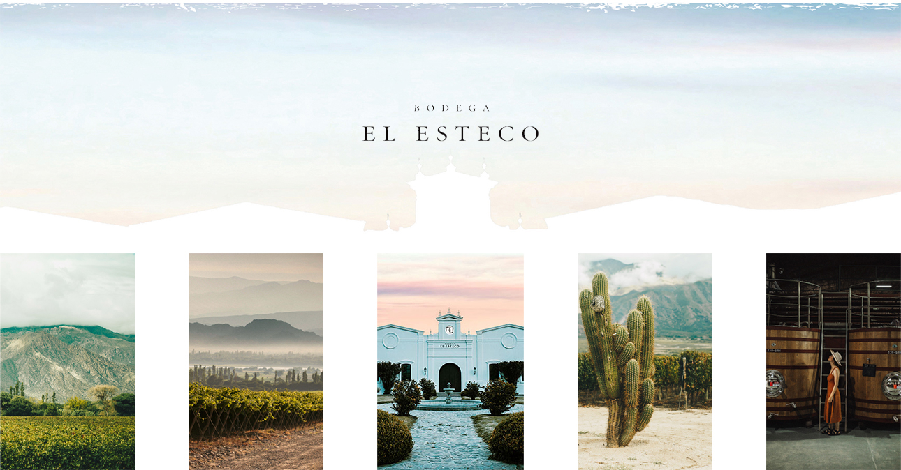 winery el esteco 1290x674