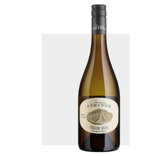 domaine ciringa fosilni breg magnum 2021 (másolat)