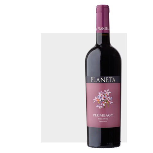 planeta santa cecilia noto d.o.c. 2019 (másolat)