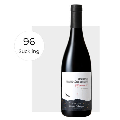 domaine boris champy bourgogne hautes cotes de beaune clou 377 2022 (másolat)