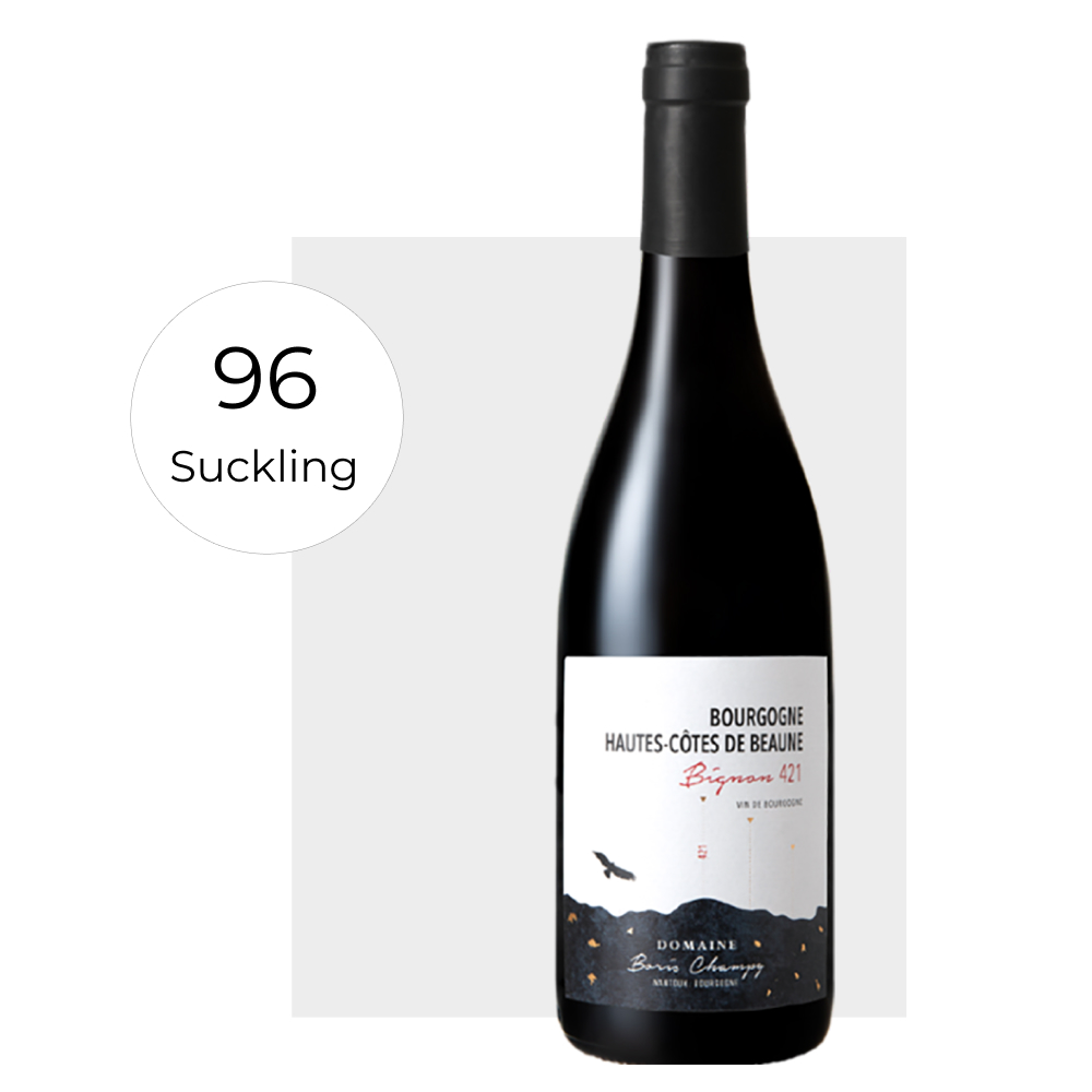 domaine boris champy bourgogne hautes cotes de beaune clou 377 2022 (másolat)