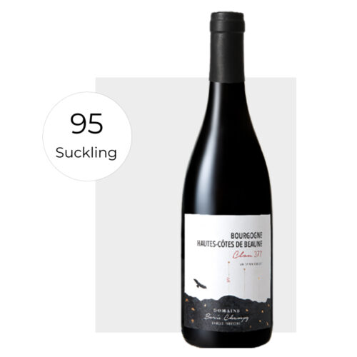 domaine boris champy bourgogne hautes cotes de beaune clou 377 2022