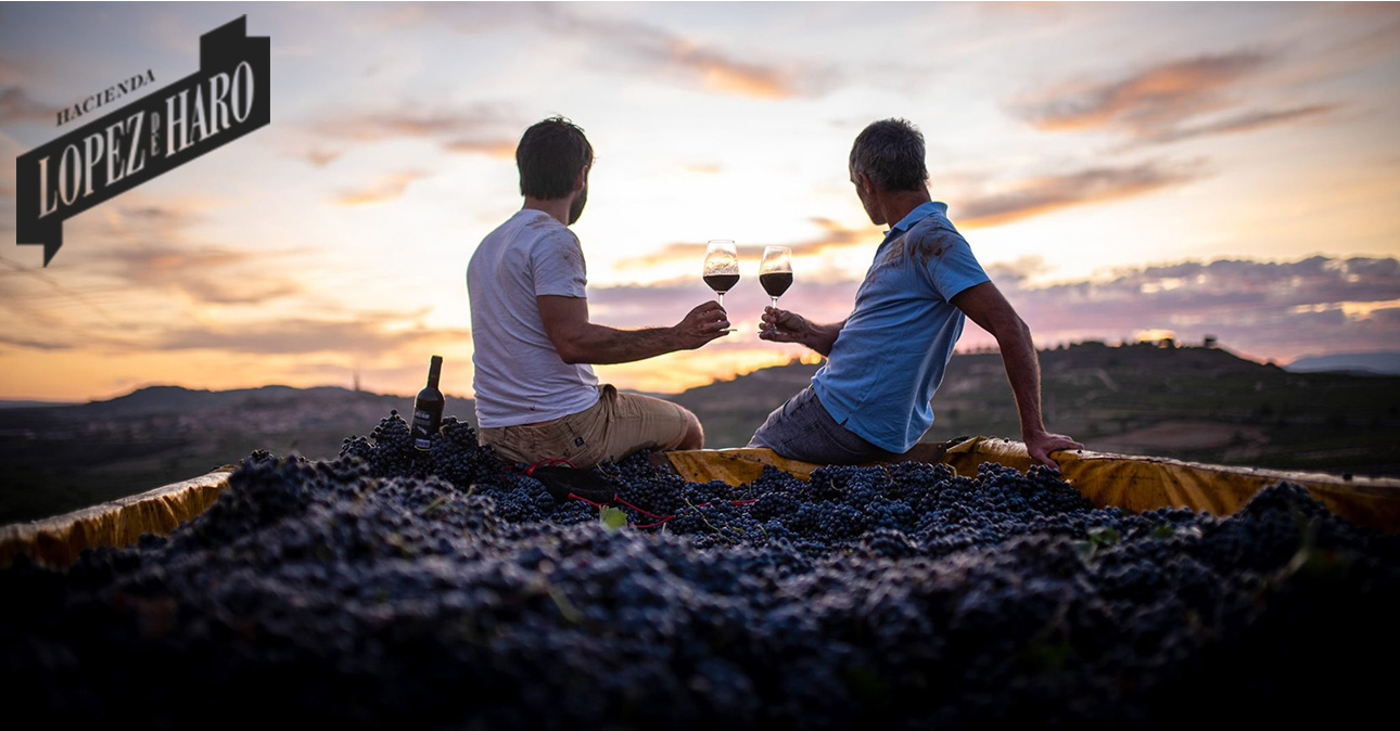 winery lopez de haro 1290x674