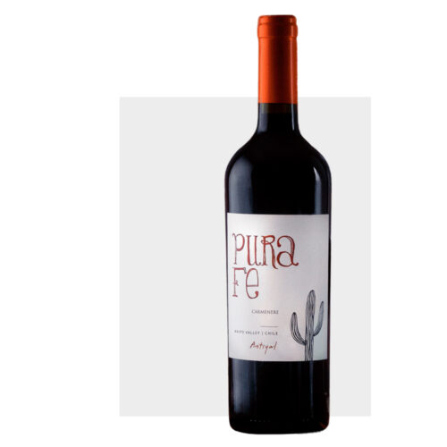 antiyal pura fe cabernet sauvignon 2019 (másolat)