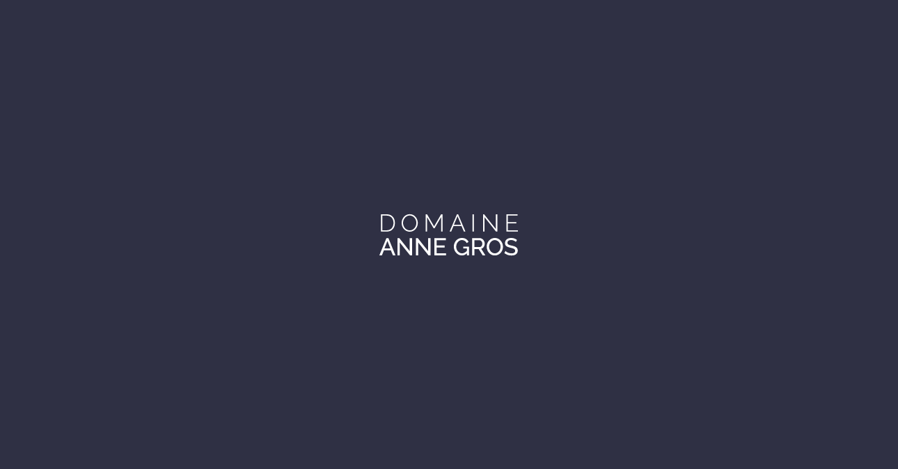 winery domaine anne gros 1290x674