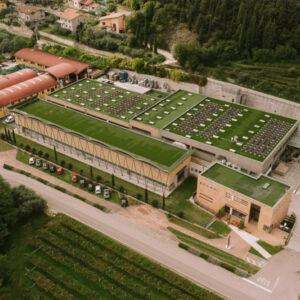 cesari 5