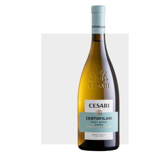 cesari "centofilari" pinot grigio garda doc 2024
