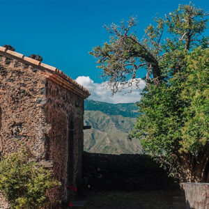planeta etna 1000