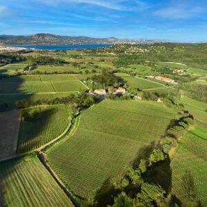 vignbole photo 1 1920x1920