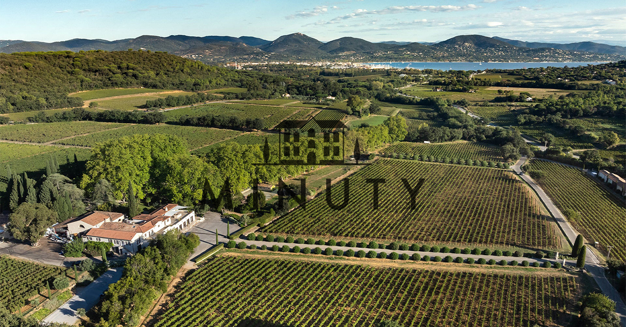 winery minuty winery 1290x674