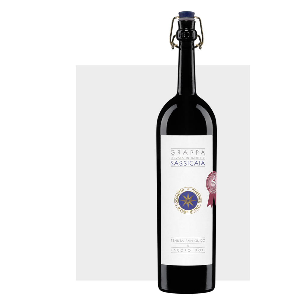 poli cleopatra amarone oro (másolat)