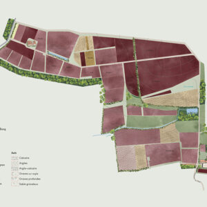 chateau la garde 004 1000