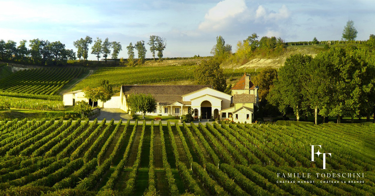 chateau mangot slide