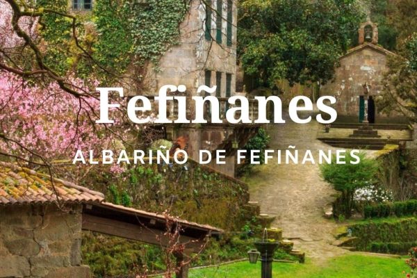 fefinanes hÍr